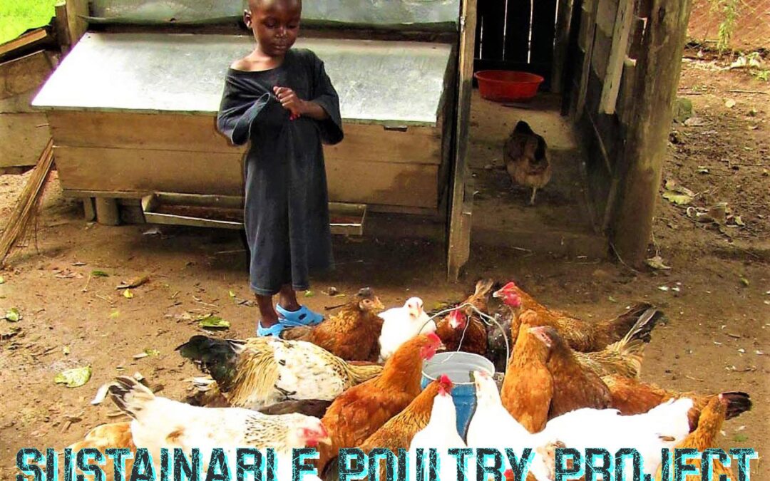 Sustainable Poultry and Farm Project