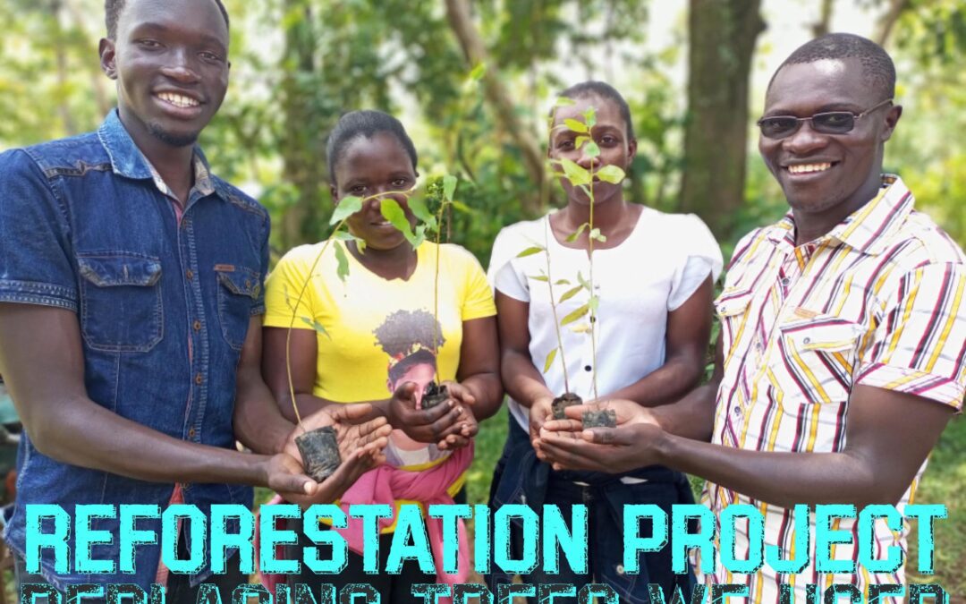 Reforestation / Afforestation